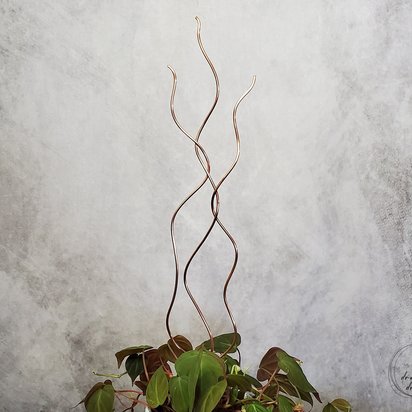 Large copper plant trellis, unique vine support for houseplants, decorative indoor gardening stakes, plant mom holiday gifts