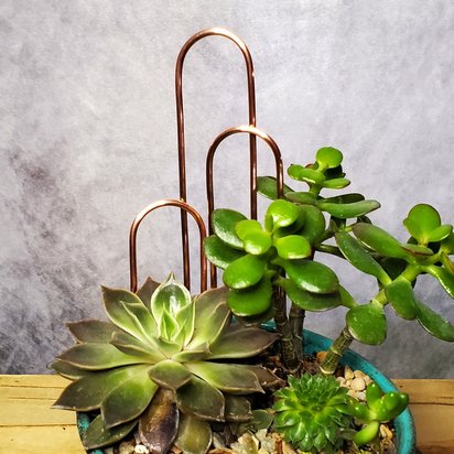 Indoor copper plant trellis, hoya philodendron succulent arch, dish garden support accessories, plant mom holiday gift ideas