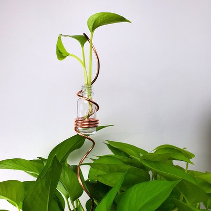 Propagation station copper plant stake, propagate houseplant cuttings in water, minimalist and modern decor, plant mom holiday gift