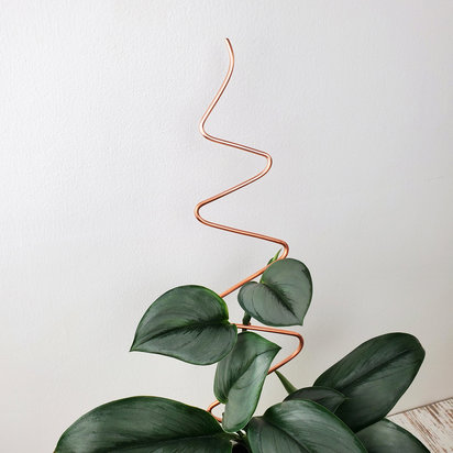 Zig Zag copper plant support stake and trellis, decorative stick for hoya and philodendron, holiday plant gift ideas
