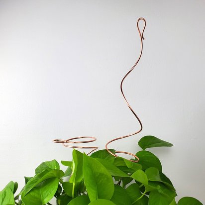 Copper plant stakes, houseplant support stick, metal trellis, metal garden stake, monstera pole, plant mom gifts, electroculture coil