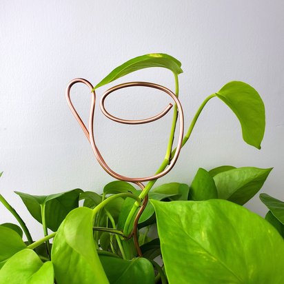 Copper plant support stake and trellis, houseplant supply and accessories, holiday plant gift ideas